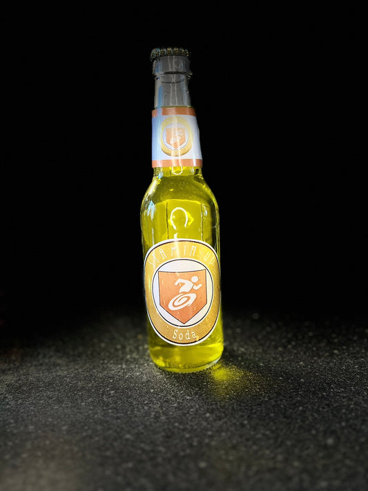 Stamin-Up Perk Bottle Replica – Call of Duty Zombies Collectible